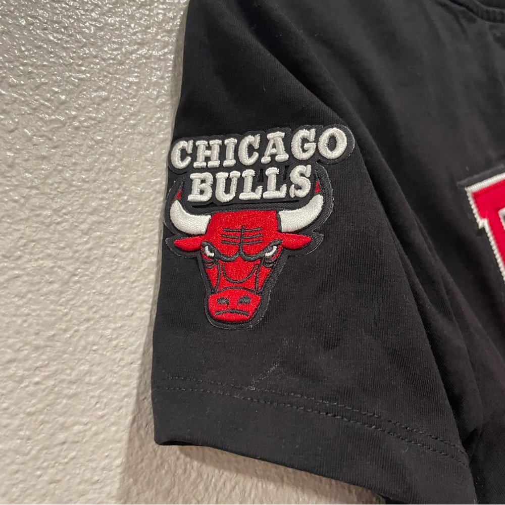 Urban Outfitters NBA Chicago Bulls Embroidered Baby Tee Women’s Size Medium - Picture 3 of 8